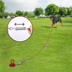 BTEC Dog Tie Out Cable 30ft leash offering extended freedom for yard and beach