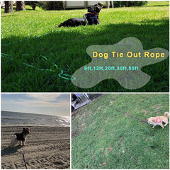 BTINESFUL 20 ft rope for open areas and training sessions