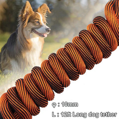 BTINESFUL dog tie-out rope 30ft bright colors supports long-range yard training.