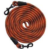 BTINESFUL dog tie-out rope 8ft orange keeps small dogs secure in the yard.
