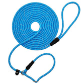 BTINESFUL slip lead 10ft neck adjustment shows secure control during training.