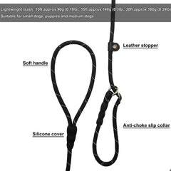 BTINESFUL slip lead 20ft training leash outdoors for recall drills.