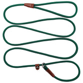 BTINESFUL slip lead 7ft leash for controlled walks and training.