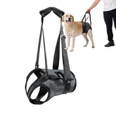 BUALR adjustable-lift-harness for large dogs supports mobility during daily walks.