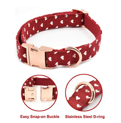 Bubblepup leash-clip-closeup demonstrates reliable hardware built for everyday walks.