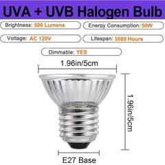 BUBYVV UVB/UVA bulbs for bearded dragons promote healthy activity and mood.