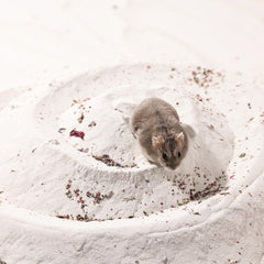 BUCATSTATE sand helps spot-clean maintenance with its bright white color.
