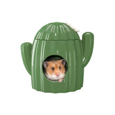 BUCATSTATE ceramic cactus hideout front view shows durable bite resistant shelter