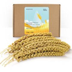 BUCATSTATE spray millet bag shows natural packaging for storage.