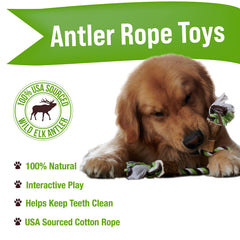 Buck Bone Organics elk antler rope chew toy close-up texture highlighting durable materials