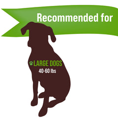 Buck Bone Organics USA-sourced elk antler pack highlights natural chew options for dogs