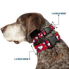 Buckle-Down plastic-buckle dog collar close-up shows sturdy buckle for secure adventures.