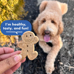 Buddy Biscuits gingerkid-shape image emphasizes playful design loved by dogs.