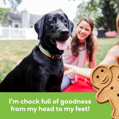 Buddy Biscuits training reward soft chew image, perfect for training moments.