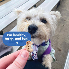 USA-made oven-baked badge shown on Buddy Biscuits Teeny Treats packaging.