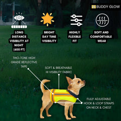 Buddy Glow lightweight breathable fabric keeps small dogs cool on walks