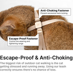 BuddyArmor cat harness escape-proof design ensures secure outdoor sessions