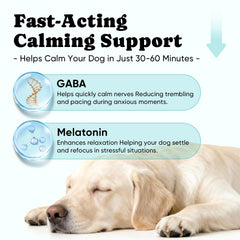 BuddyCheer Calming Chews chicken flavor label highlights daily use.
