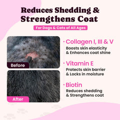 BuddyCheer collagen liquid served beside pet bowl for easy mixing.