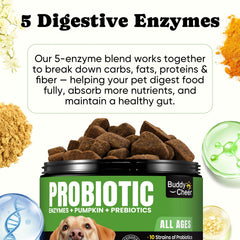 BuddyCheer dog probiotics ingredients pumpkin reveal fiber for balance