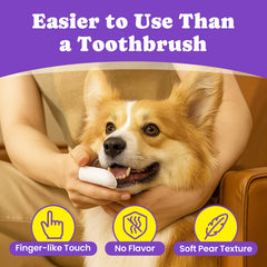BuddyCheer finger toothbrush wipes being applied to pet teeth.