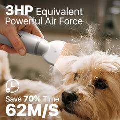 The buenkee dryer with three speeds and four temps enables versatile grooming.
