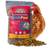 Buff Clucks Grub Fuel BSFL dried snack in a bowl; supports hens' nutrition and energy.