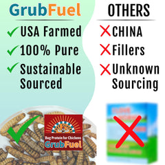 Buff Clucks Grub Fuel BSFL calcium-rich snack; may support eggshell strength.