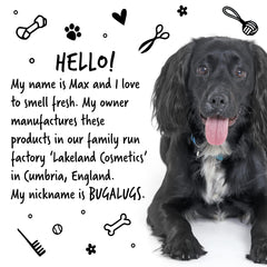 BUGALUGS coconut-oil sheen highlights coat luster after bath.