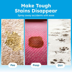 BugMD enzyme cleaner-odor-destruction: enzymes neutralize odors at the source.
