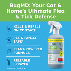 BugMD pet safe flea spray cat-application demonstrates gentle use on cats.