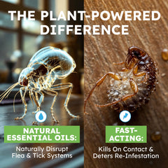 BugMD pet safe flea spray fine-mist demonstrates even coverage on surfaces.