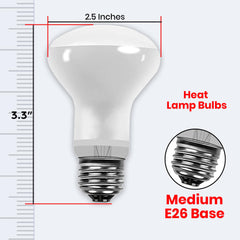 BULBMASTER UVA reptile light emission mirrors natural daylight for activity.