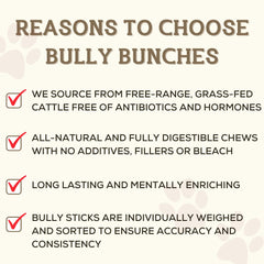 Bully Bunches 100percent beef image emphasizing single-ingredient, ethically sourced chew