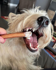 Bully Bunches free-range beef chew single-ingredient treat for dogs