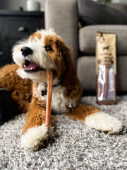 Bully Bunches rawhide-free feature image highlighting safe, gut-friendly chew for dogs