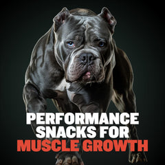 Bully Max 32 percent protein high protein treats for muscle-ready dogs