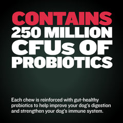 Bully Max Weight Gainer puppy enjoying chews demonstrates tasty growth support.