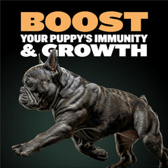 Puppy preparation with water for Bully-Max Wet Puppy Food rehydration.
