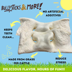 Bullysticks & More dog chewing beef cheek snout during play for boredom relief