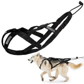 BuleVina dog pulling harness L Black closeup shows neck padding for comfortable control.