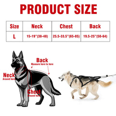 BuleVina X-back harness highlights even pressure distribution for Nordic breeds.