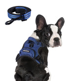 BUMBIN dog harness large denim blue overview shows no-pull vest for big dogs