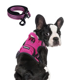 BUMBIN dog harness front-clip no-pull design for controlled training walks