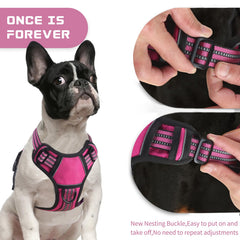BUMBIN reflective design enhances safety during night walks