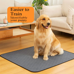 Bunlitent anti-slip pad backing keeps the mat in place on smooth floors