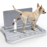 BUPIHUKA Pee Pad Holder front view shows a stable frame for puppy training