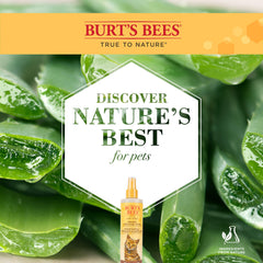 BURT'S BEES FOR PETS cat dandruff relief close-up on hydrated shiny fur