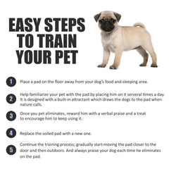 BV Puppy Pads XL absorption core quickly locks in moisture