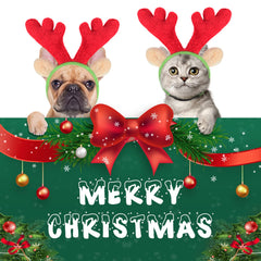 BWOGUE dog Christmas scarf red white green striped adds festive mood for photos.